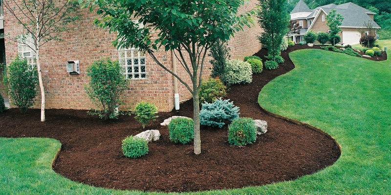 mulching picture
